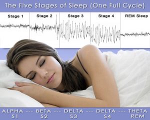 stages-of-sleep