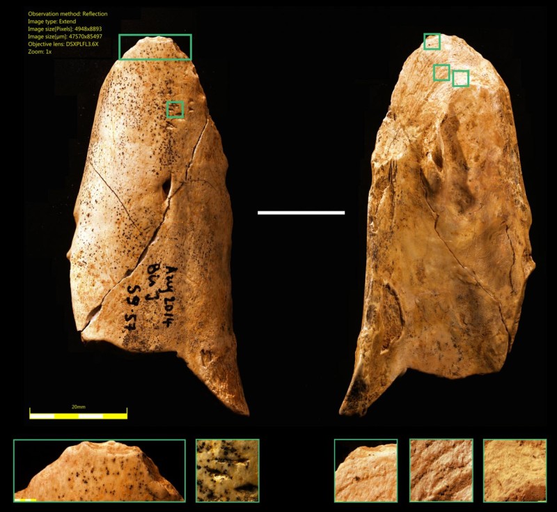 neandertaller-aletler-yapıyordu-bilimfili