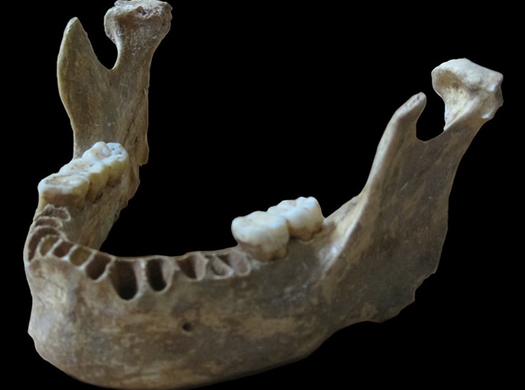 neandertal-ve-insan-uremesine-dair-ilk-kanit-bilimfilicom