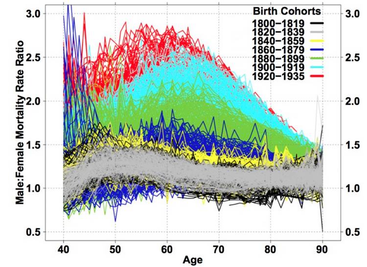 Grafik : Dikey eksende Erkek : Kadın Ölüm Oranlarının Oranı - Yatay eksende Yaş tanımlanmış durumda. Yukarıdaki lejandda ise Yaş-taburlarının yıllara göre ayrılmış çizgi renkleri gösteriliyor