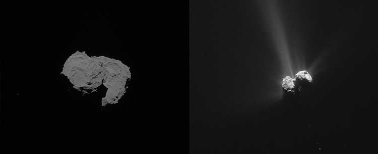 Solda 67P’nin 6 Ağustos 2014’te Rosetta’nın ilk ulaştığındaki, sağda tam 1 yıl sonraki fotoğrafı. Atımlarla karakterli aktivite ve güneşe yaklaşmasına bağlı parlaklık artışları açıkça izlenmekte. Telif: ESA/Rosetta/NavCam – CC BY-SA IGO 3.0