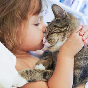 Shutterstock ©Alena Haurylik