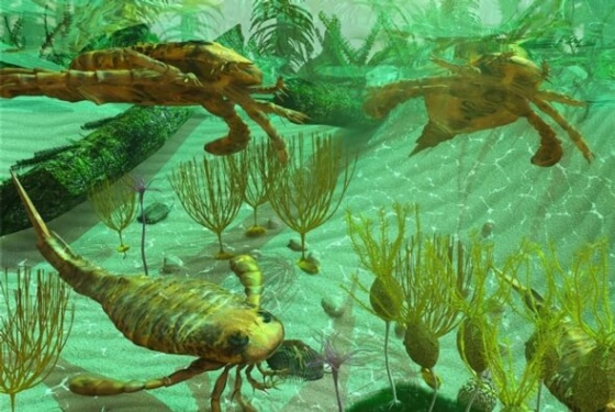 İlk artropodlar ve okyanuslardaki canlı çeşitliliği 