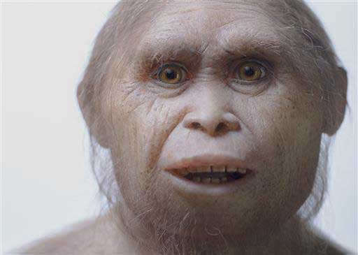 2015 yılında Kinez Riza tarafından çekilen bu fotoğraf Homo floresiensis türünün, Sangiran Museum'daki Elisabeth Daynes Atölyesi'nde yapılandırılmış modelini gösteriyor. Telif : Kinez Riza