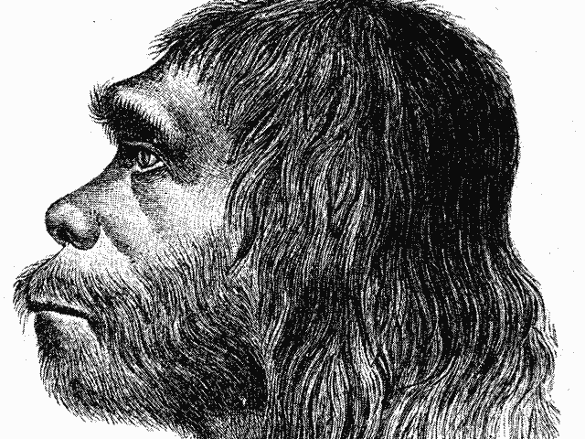 1-neanderthal