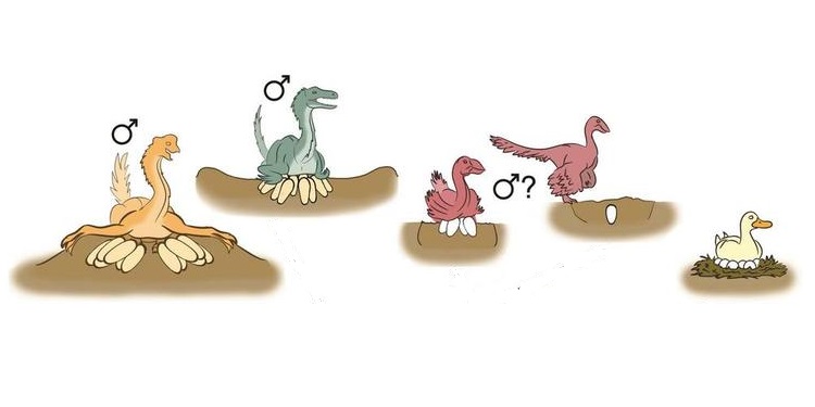 dinozorlardan-kuslara-uzanan-yolda-ureme-aliskanliklari-nasil-degisti-bilimfili