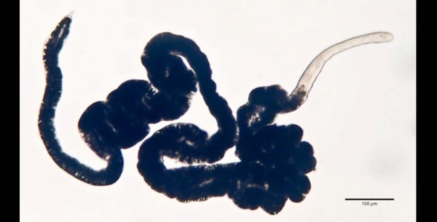 Post Similars Cover Image