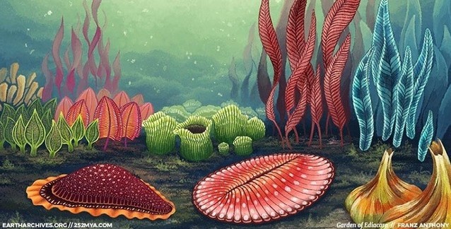 Post Similars Cover Image