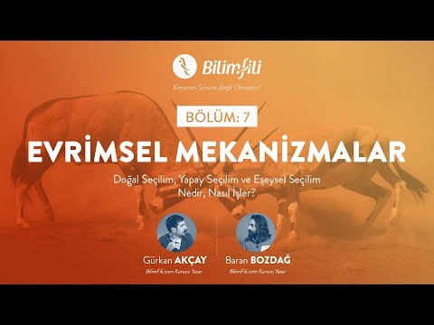 YouTube BilimFili Thumbnail