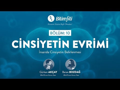 YouTube BilimFili Thumbnail