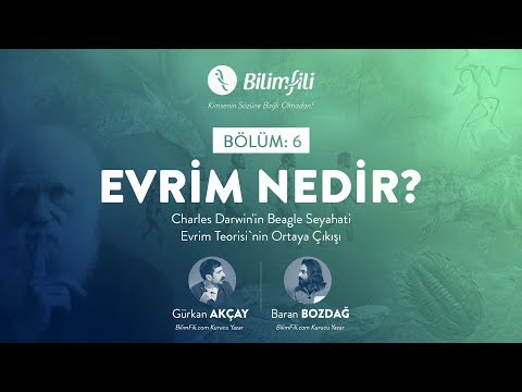 YouTube BilimFili Thumbnail