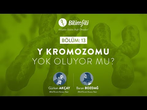 YouTube BilimFili Thumbnail