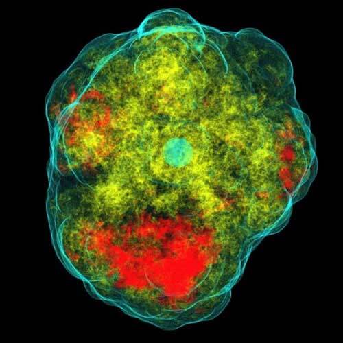 Çekirdek-çökmeli bir süpernovanın patlama aşamasındaki çekirdeği. Merkezdeki (mavimsi küre) protonötronlardan saçılan nötrinolar şok cephesinin arkasındaki gaz tarafından absorbe edilir, bu gazı ısıtır ve türbülansı başlatır. Sonunda da asimetrik bir patlama ortaya çıkar.