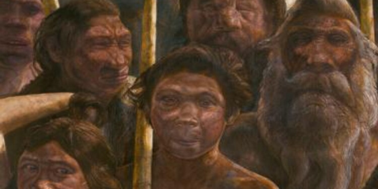 Image result for neandertal ortak atasÄ±