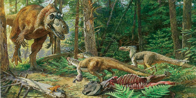 Uzun boyunlu dinozorlar: çeşitleri, açıklaması, yaşam alanı Uzun boyunlu dinozorlar: çeşitleri, açıklaması, yaşam alanı