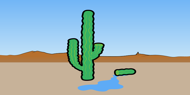 kaktus-sivisi-icmek-bilimfilicom